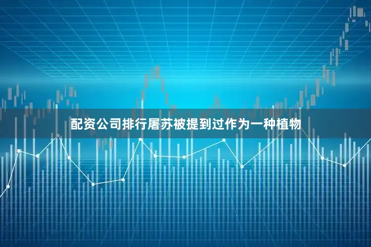 配资公司排行屠苏被提到过作为一种植物