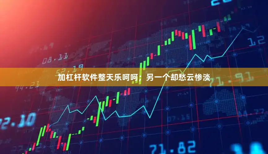 加杠杆软件整天乐呵呵；另一个却愁云惨淡
