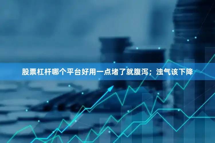 股票杠杆哪个平台好用一点堵了就腹泻；浊气该下降